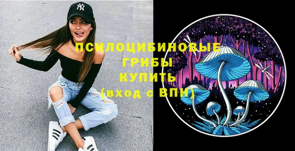 mix Гусь-Хрустальный