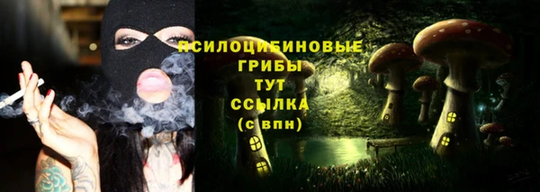 марки nbome Гусиноозёрск