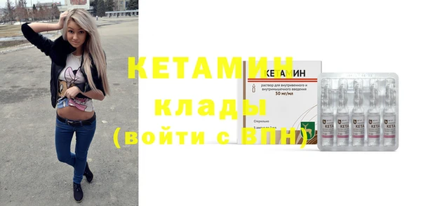 шишки Горно-Алтайск