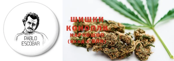 МДПВ Горнозаводск