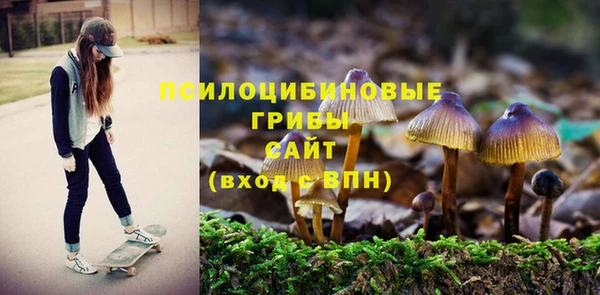 шишки Горно-Алтайск